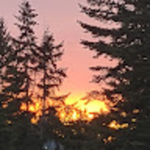 Meet your Posher, River